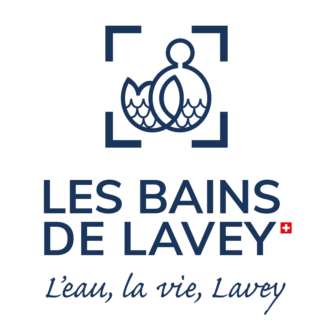 logo_BDL_bleu